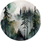 Into The Woods